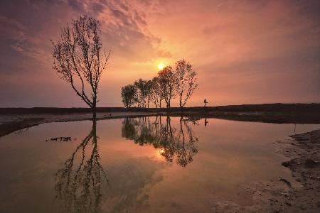 Sunset reflection