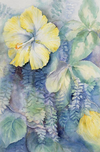 Hibiscus, yellow  à Karen  Armitage