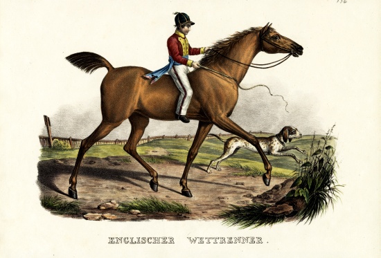 English Racer Horse à Karl Joseph Brodtmann