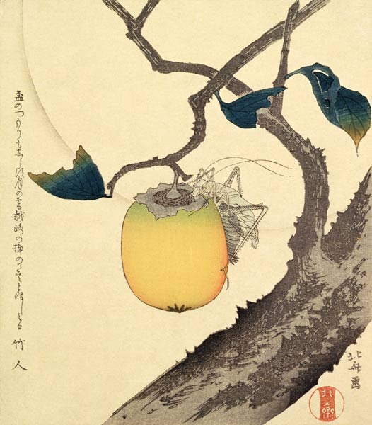 Moon, Persimmon and Grasshopper, 1807 (colour woodcut) à Katsushika Hokusai