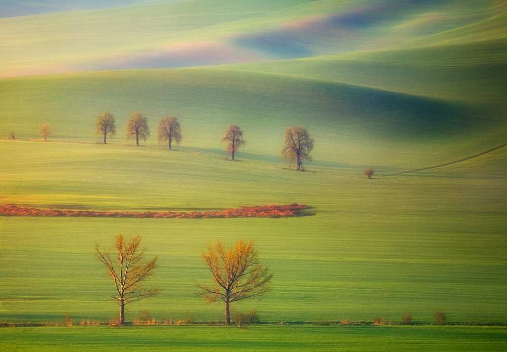 Fields à Krzysztof Browko