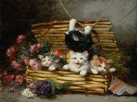 Un panier plein de chats