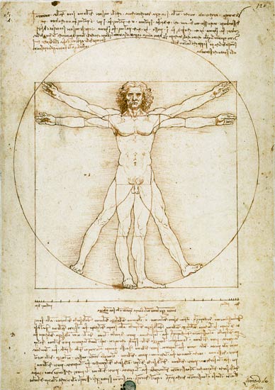 L'homme de Vitruve (les proportions humaines) à Léonard de Vinci