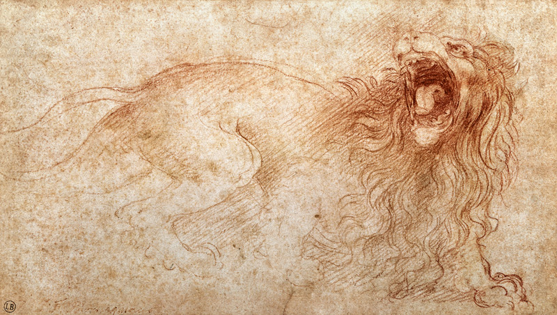 Sketch of a roaring lion à Léonard de Vinci