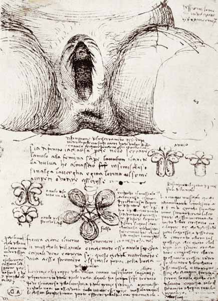 The Female Sexual Organs, facsimile copy  & à Léonard de Vinci