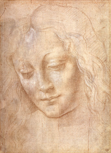 Head of a woman à Léonard de Vinci