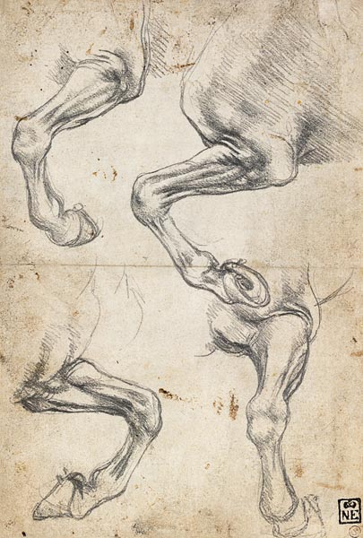 Studies of Horse's Leg à Léonard de Vinci