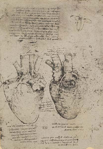 The Heart, facsimile of the Windsor book à Léonard de Vinci