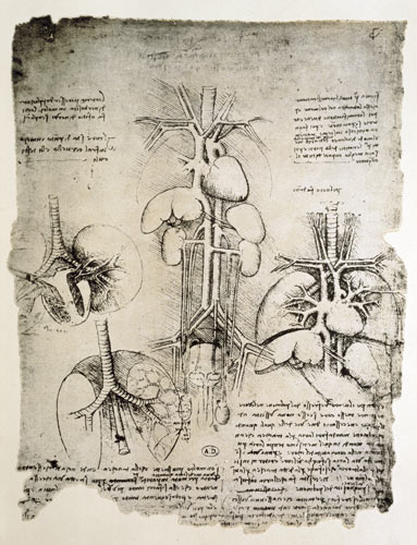 The Heart and the circulation, facsimile of the Windsor book  and à Léonard de Vinci