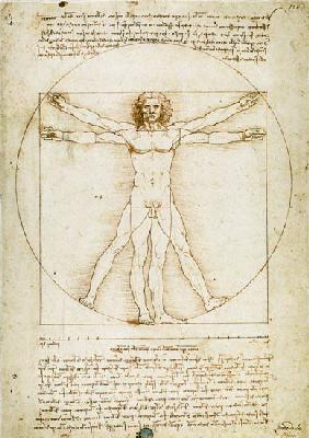 L'homme de Vitruve (les proportions humaines) - Léonard de Vinci