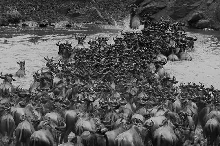 Crossing Mara River