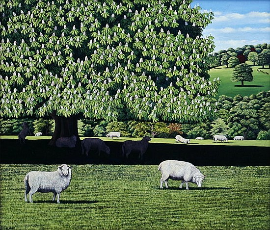 Dorset Parkland, 2007 (oil on canvas)  à Liz  Wright