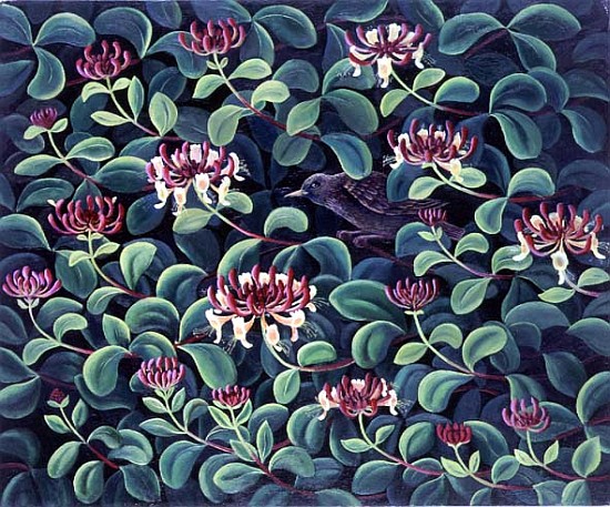 Honeysuckle and Starling, 1995  à Liz  Wright