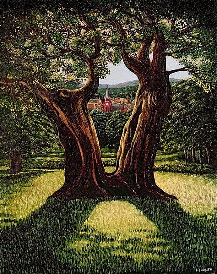 The Divided Tree, Richmond Park, 1989  à Liz  Wright