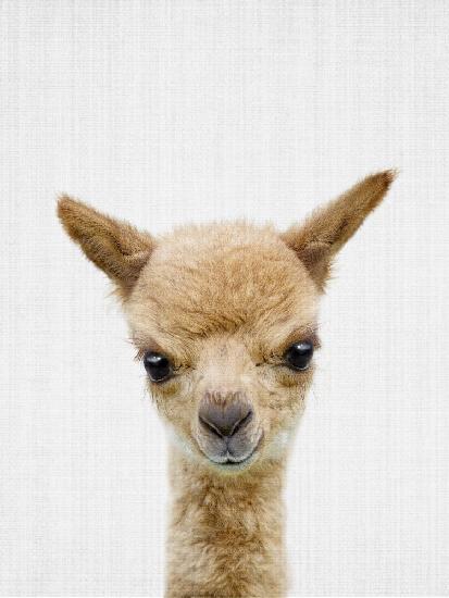 Peekaboo Baby Llama