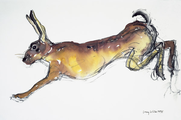 Jumping Hare (w/c & charcoal on paper)  à Lucy Willis