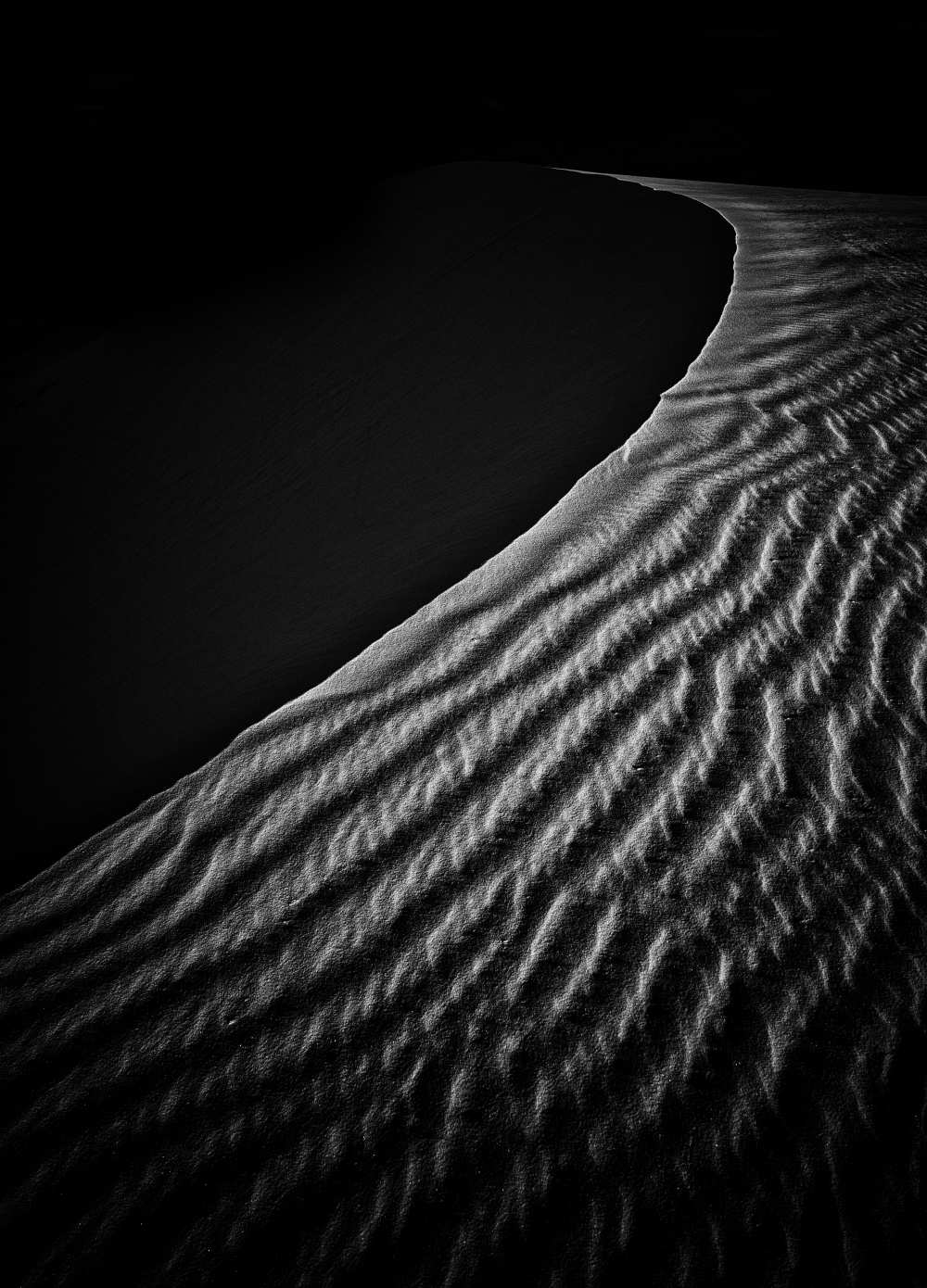Sand Dune à Lydia Jacobs