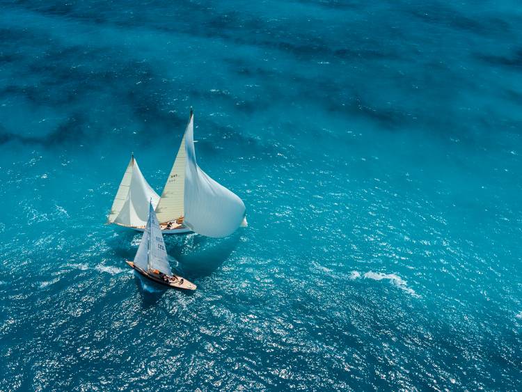 Croisement bleu à Marc Pelissier