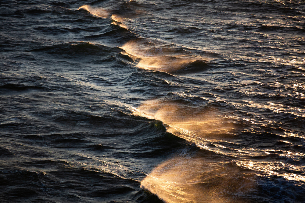Sunkissed Waves à Mareike Böhmer