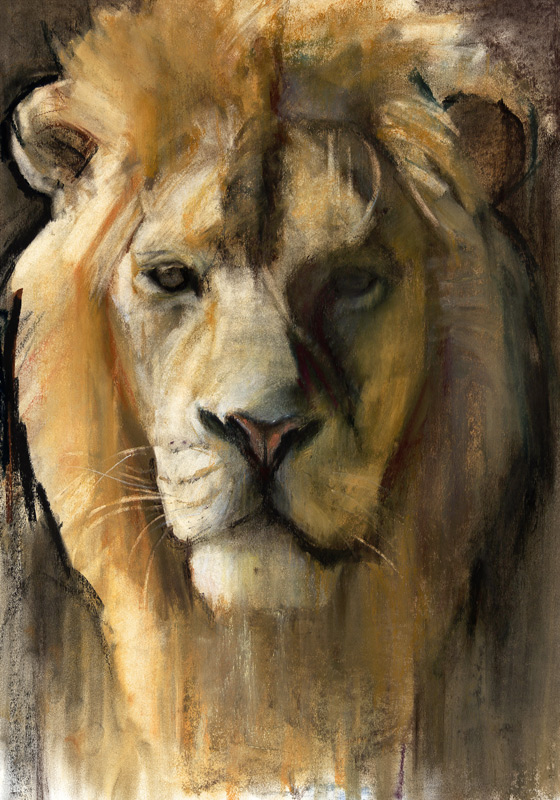 Asiatic Lion à Mark  Adlington