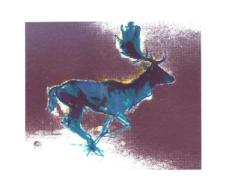 Fallow Buck (blue/yellow shadow)