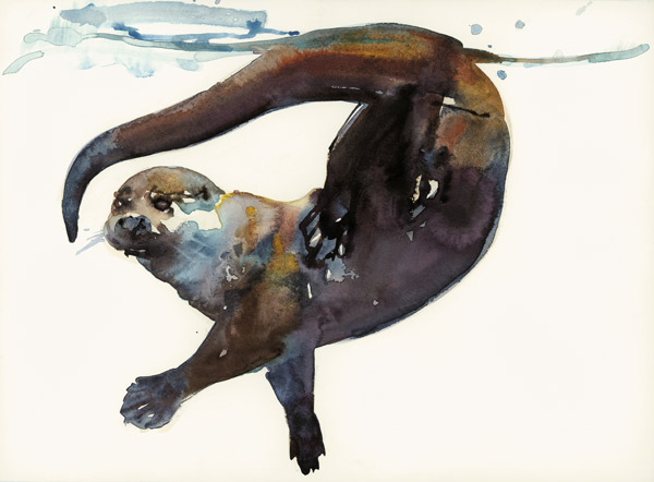 Otter Study II -Talisker à Mark  Adlington