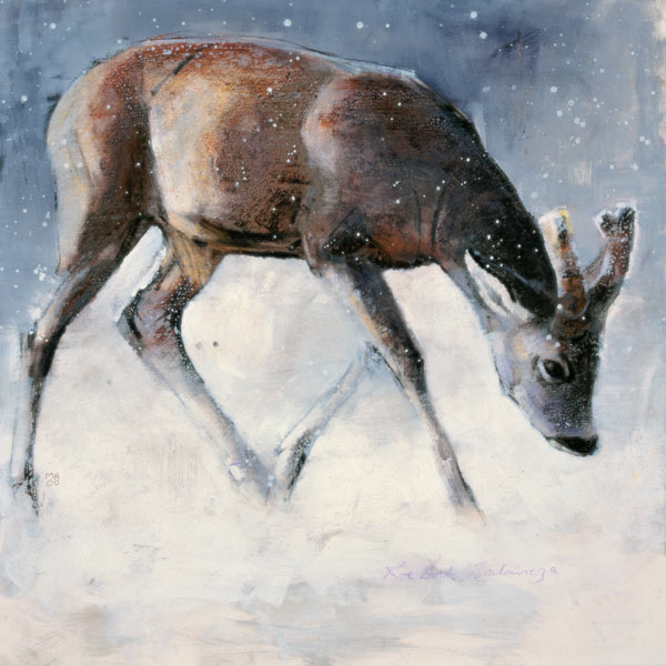 Chevreuil en hiver à Mark  Adlington