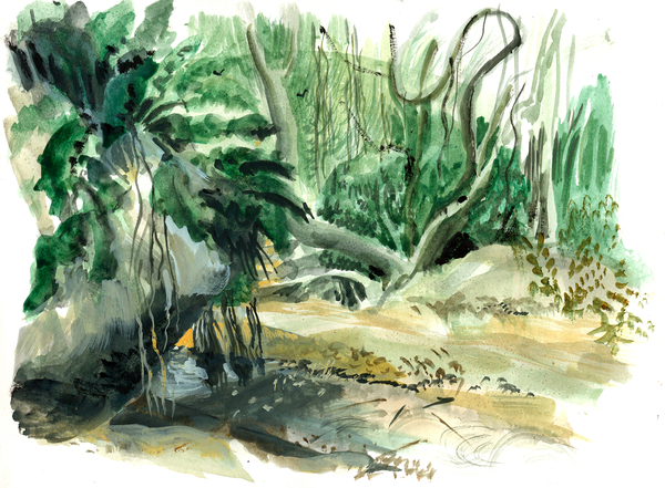 Jungle: Tyrona, Colombia à Mary Kuper