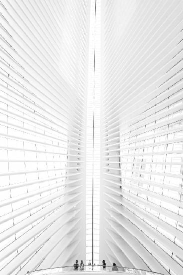 Calatrava Vision