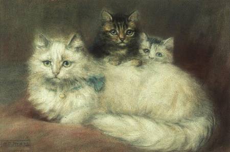 A Persian Cat and her kittens à Maud D. Heaps