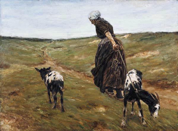 Femme avec des chèvres dans les dunes