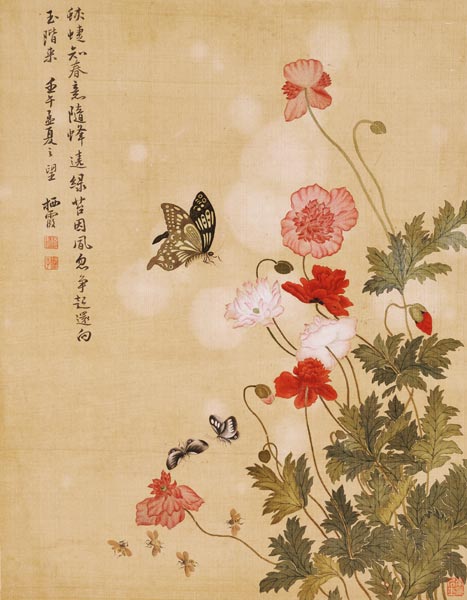 Coquelicots et papillons à Ma Yuanyu