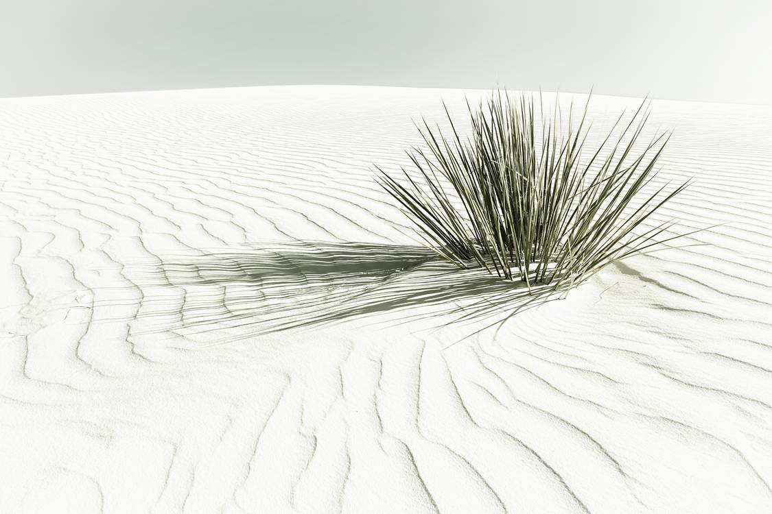 Dünen, White Sands National Monument | Vintage à Melanie Viola