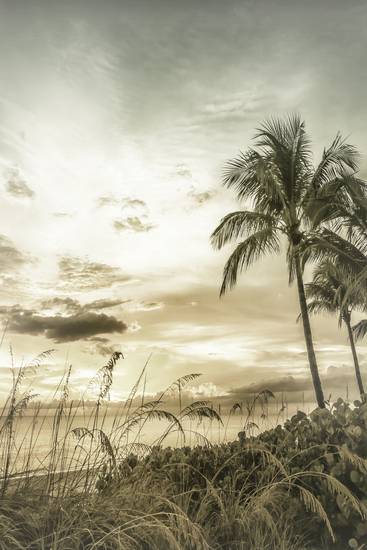 BONITA BEACH Coucher de soleil de rêve | Vintage