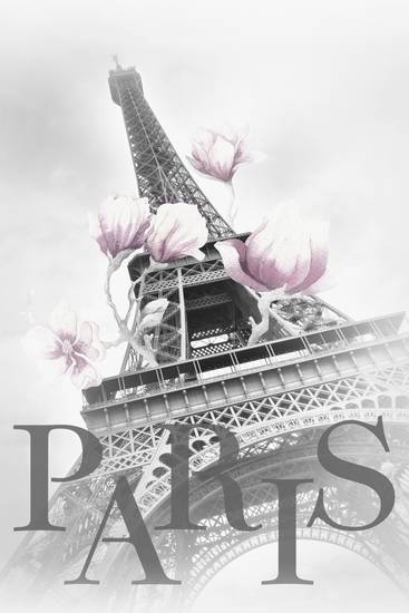 PARIS Tour Eiffel avec magnolias 