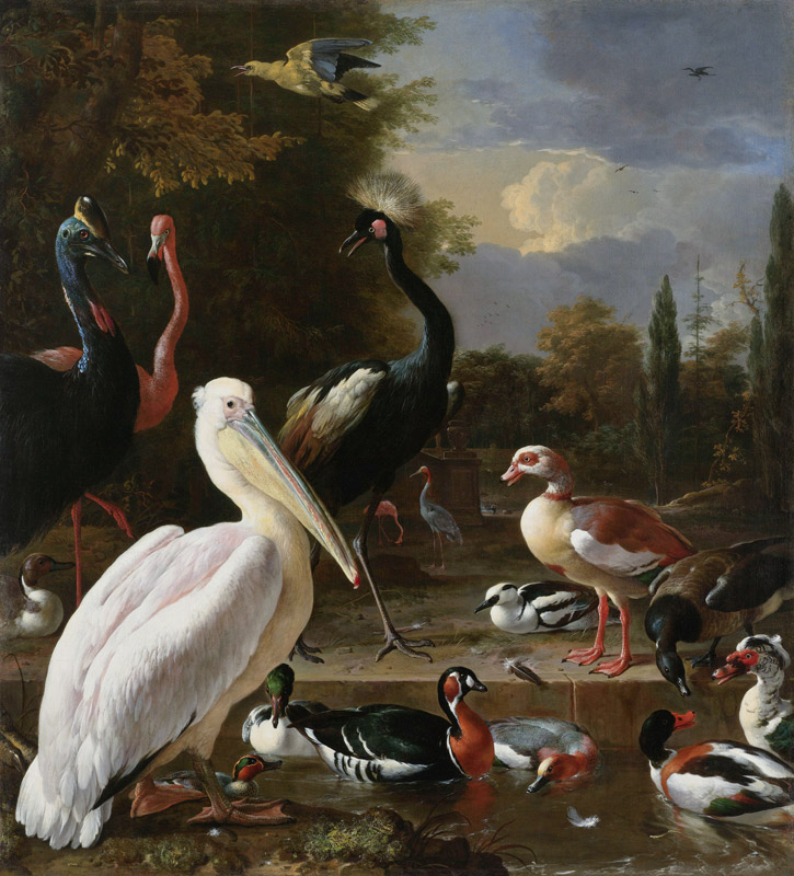 A Pelican and other Birds near a Pool, Known as ‘The Floating Feather’ à Melchior de Hondecoeter