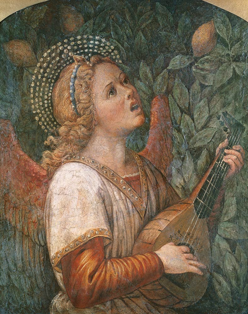 Angel Musician à Melozzo da Forli