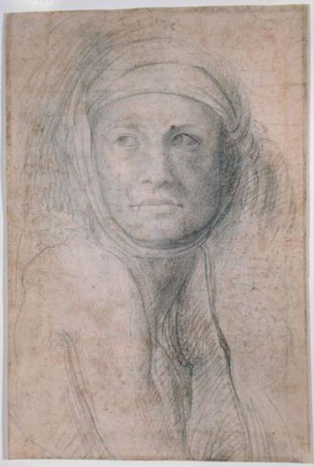 Head of a Woman à Michelangelo Buonarroti