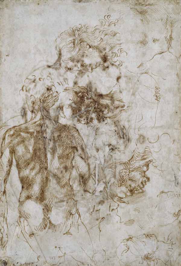 Studies of Male Nude, after 1501-2 (pen & ink on paper) à Michelangelo Buonarroti