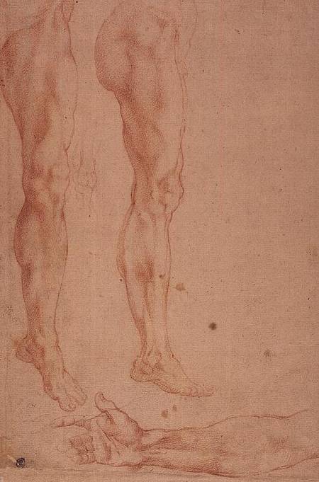 Studies of Legs and Arms à Michelangelo Buonarroti
