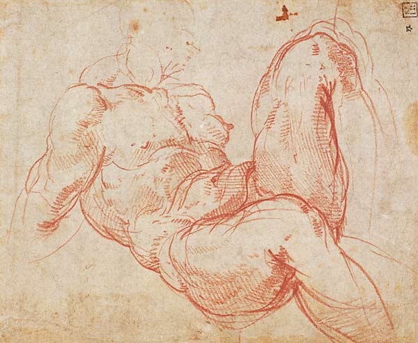 Study of a Nude (red chalk) Inv.1854/5/13/1 Recto (W.10) à Michelangelo Buonarroti