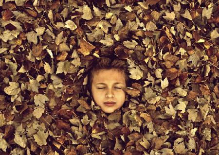 Childhoods Autumn