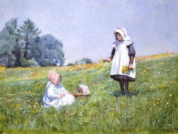 Buttercups and Daisies