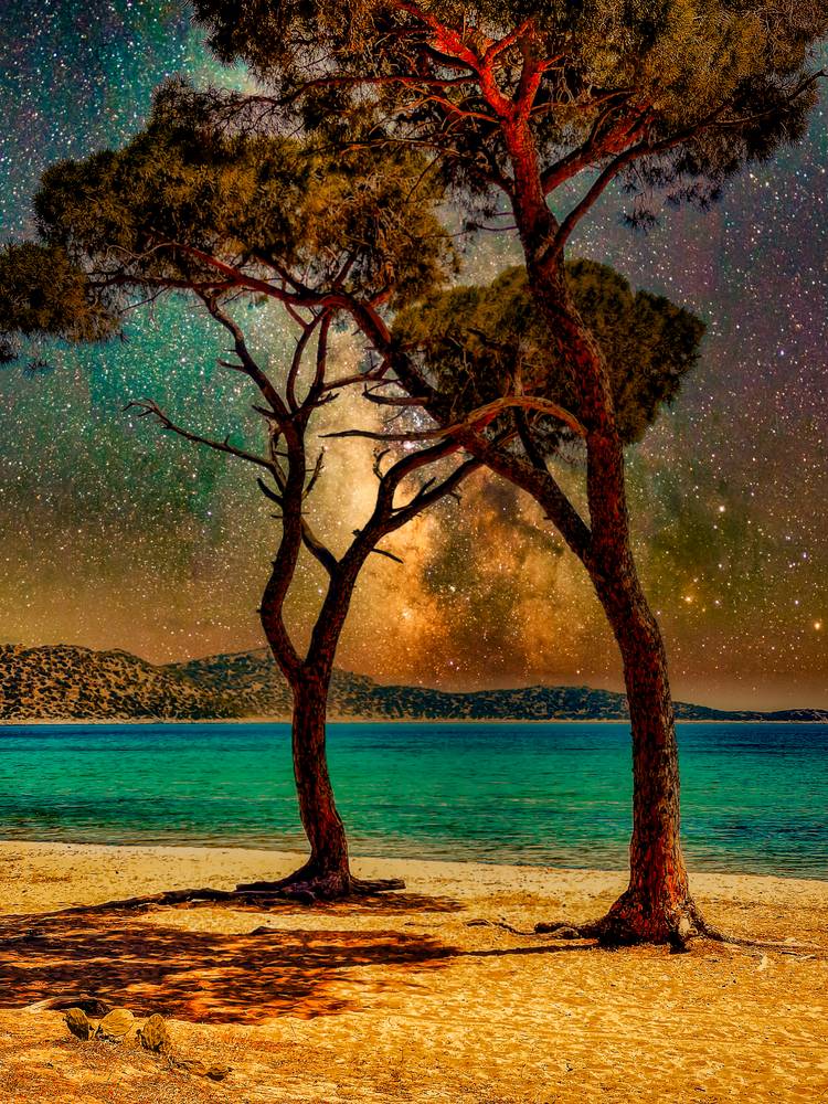Pinien Bäume am Strand und Sternenhimmel in Griechenland à Miro May