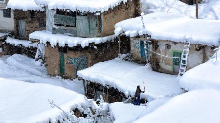 Snow ladder