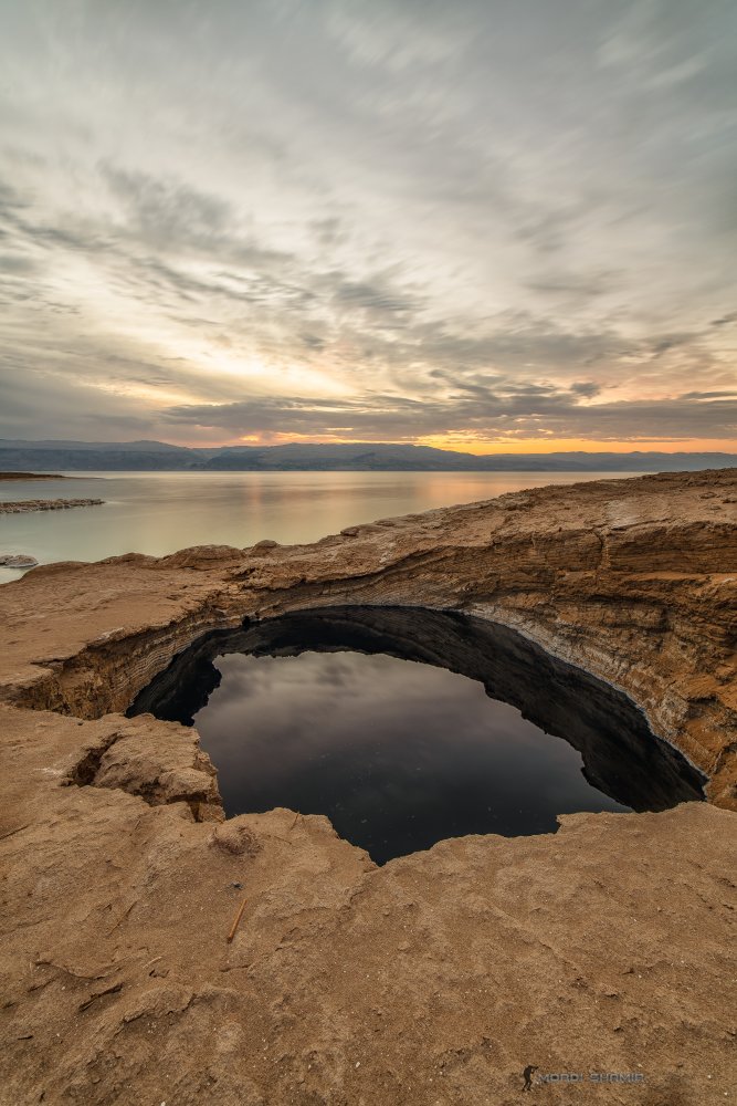 The Dead Sea Swallow à mordi