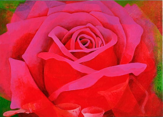 The Rose, 1995 (acrylic on canvas)  à Myung-Bo  Sim