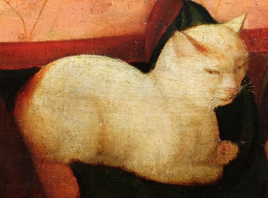 A white cat, detail from ''Four People Laughing at the Sight of a Cat'' (detail of 221426) à Niccolo Frangipane