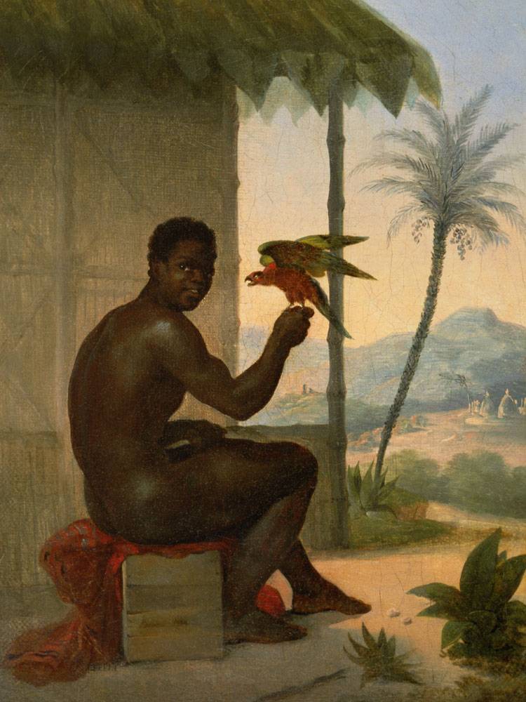 Brazilian negro with Tropical Bird à Nicolas Antoine Taunay