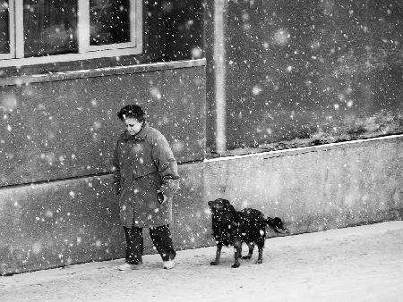 winter passengers